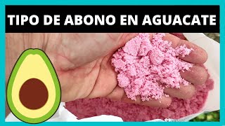 Diferentes TIPOS de ABONO para CULTIVO de AGUACATE 🥑 [upl. by Ahtela]