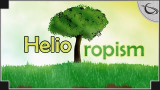 Heliotropism  Tree Growing Strategy Game [upl. by Garner336]