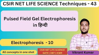 pulsed field gel electrophoresis by Vikrant sir  CSIR NET LIFE SCIENCE [upl. by Fotzsyzrk]