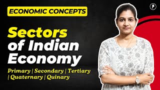 5 Important Sectors of Indian Economy  Sectors of Economy  Indian Economy by Parcham Classes [upl. by Eilasor]