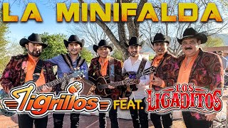 LOS TIGRILLOS FT LOS LIGADITOS  LA MINIFALDA [upl. by Morel]