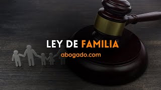 ¿Qué es el derecho de familia 👪 Ley de familia  Custodia de menores en EEUU  Abogadocom [upl. by Htaras7]