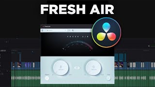 Dieses Plugin VERBESSERT deine Stimme MASSIV in DaVinci Resolve [upl. by Budworth763]