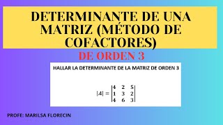 DETERMINANTE DE UNA MATRIZ  DE ORDEN 3  MÉTODO DE COFACTORES [upl. by Yelehsa]