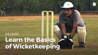 Learn the Basics of Wicketkeeping  Cricket [upl. by Sedicla392]