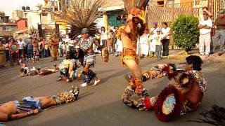 DANZA AZTECA  AGUILA BLANCA [upl. by Jennilee]