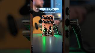 Three Sounds Walrus Audio Monumental Stereo Tremolo [upl. by Favata]