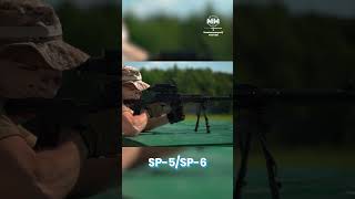 VSS Special Sniper Rifle Silent Shot for Special Forces [upl. by Tomasina]