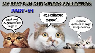 പൂച്ച സെർ 🤣 Best fun dub videos collection  Malayalam 😂🤣Raju Varghese logsofraju [upl. by Neelhtak96]