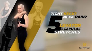 5 Levator Scapulae Stretches to Relieve Neck Tension [upl. by Violante840]