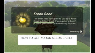 How to get korok seeds easily in legend of zelda BOTW [upl. by Odawa607]