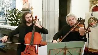 Strings nVox Trio  Arioso Bach [upl. by Livi]