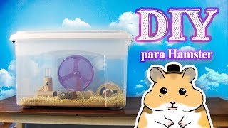 DIY Gaiola para Hamster com Caixa Organizadora [upl. by Enael872]