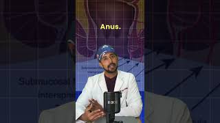 Piles vs Fistula Explained amp Treated Dr Arpit Bansal [upl. by Dow]