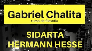 Curso de Filosofia  Sidarta Hermann Hesse  Gabriel Chalita [upl. by Wootan]