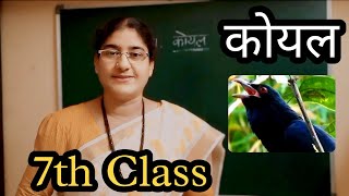 Koyal 7th Class Hindi 7th Lesson With Telugu Explanation [upl. by Llecrep]