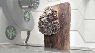 What Lies BENEATH  Unmeasured amp Unknown  Unbelievable A Burl’s woodturning Journey [upl. by Euqinna]