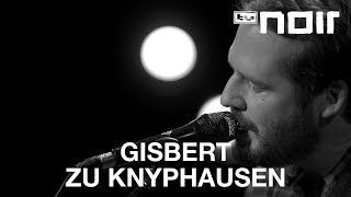 Gisbert zu Knyphausen  Bagagedrager Spinvis Cover live bei TV Noir [upl. by Pavlish858]