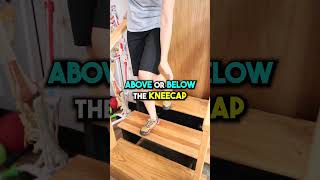 Is Your Knee Pain Patellar Tendonitis kneepain physicaltherapy bobandbrad Tendonitis health [upl. by Ahsineg395]