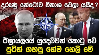 නේටෝව බිද වැටෙන අයුරු  Vladimir Putin amp Donald Trump [upl. by Rehtse]