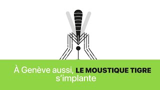 Campagne de prévention contre le moustique tigre [upl. by Neeluqcaj]