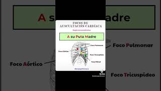 TRUCO Focos de auscultación cardíaca eir enfermera [upl. by Anrym]