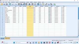 Data Entry and Data Management in SPSS [upl. by Krantz]