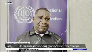 ILO  ILO applauds SAs Labour Survey results but raises concerns over working poor [upl. by Uis]