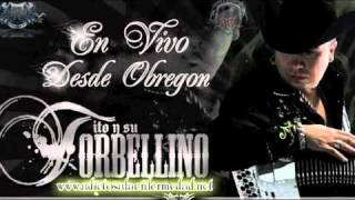 Tito Y Su Torbellino Ft Alfredito Olivas El Barba Negra El Nextel Ni Te Imaginas En Vivo [upl. by Ahsenauj]