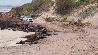 Ngkala Rocks Easy for Some Impossible for Others Fraser Island [upl. by Larkins]