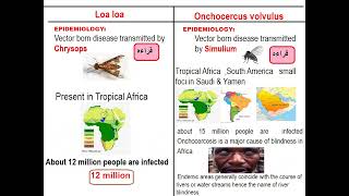 Parasitology ASU Locomotor module Loa lao amp Onchocerca amp their vectors [upl. by Suoirad]