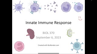 Immunology Fall 2023 Lecture 4 Innate Immunity Humoral and Cellular [upl. by Duwe716]