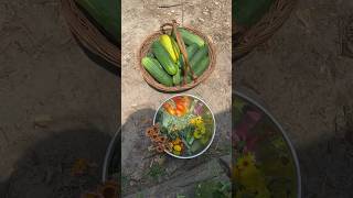 🌿🤩 Summer Garden Harvest 628 [upl. by Slotnick]