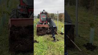 Fertilizing vineyard with compost at Weingut Sattlerhof Austria thewinearound wine compost [upl. by Gnuoy]