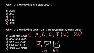 Redundancy of DNA code [upl. by Salocin920]