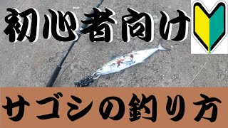 【誰でも簡単】サゴシ（サワラの幼魚）をルアーで手軽に釣る方法を紹介します！！ ショアジギング初心者の方にもおすすめの釣り方です！！【ダイソー メタルバイブ】 [upl. by Isabeau]