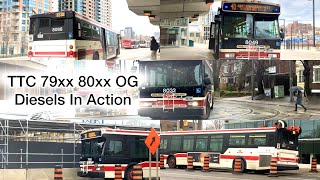 Exploring TTC 79xx 80xx OG Buses A Diesel Adventure Unleashed 🚌💨 BusSpotting PublicTransit [upl. by Prinz]