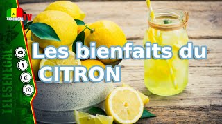 Les bienfaits du CITRON quotlimon lep lay fadj surtoutquot [upl. by Siuqaj]