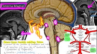 Cisterns of the brain enlarged subarachnoid spaces Important for NEETPG and NEXT exams [upl. by Elianore]