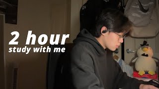 STUDY WITH ME 2 HOURS  background noise real time with timer PETER LE [upl. by Nahtannhoj]