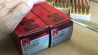 Pouncing On Good Hornady 223 55 Gr Soft Point Ammo At DSG [upl. by Reynard805]