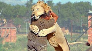 Animals Reunited With Owners AFTER YEARS apart [upl. by Aihsema914]