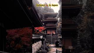 NEXT STOP IS 🚏 Autumn 🍂 in Japan 🇯🇵 japan autumn travel asiantravel [upl. by Parshall485]