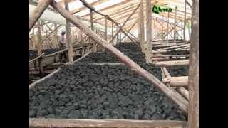 From waste to Briketi project  Green Bio Energy [upl. by Trevah]