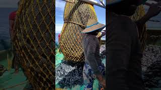 அப்பாடா மீன் கிடைச்சிருக்கு மூன்றாம் நாளின் ரெண்டாவது வலையில் meenavan fishcatching [upl. by Azmah]