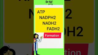 Tit Bits  ATPs NADPH2 NADH2 FADH2 Formation Class 11 NCERT NEET Bio360hd6ti [upl. by Howie]