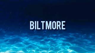 Biltmore Whissell  Feel Something Good Lyrics [upl. by Lenod]