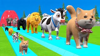 Paint amp Animals CowGorrilaElephantSheepDeerTiger Fountain Crossing Transformation Cartoon [upl. by Dorrej]