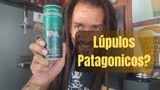 Cerveja Patagônia Ipa degustação cerveja cervejaartesanal patagonia [upl. by Ennaeirrac32]