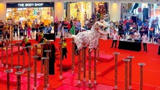 Lion Dance Championship 2024 Malaysia National Genting Cup [upl. by Eidualc917]